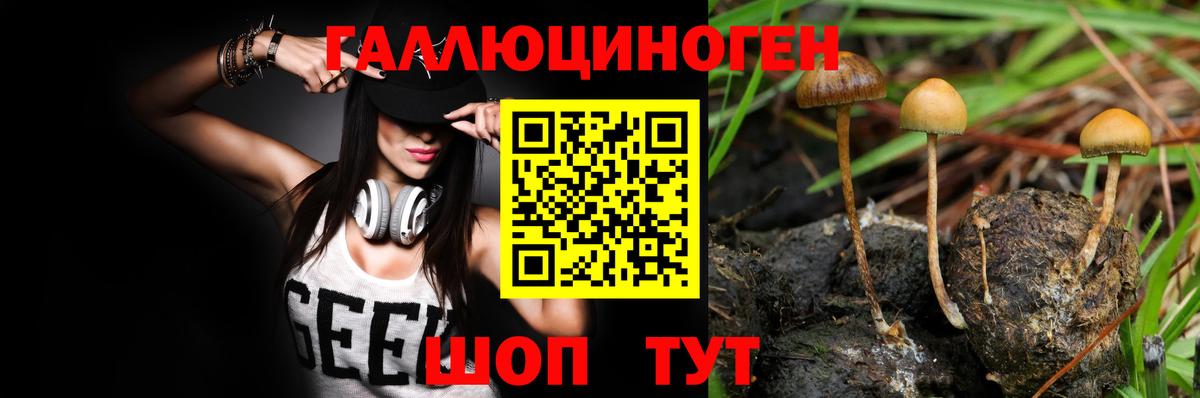 Галлюциногенные грибы прущие грибы Камышин